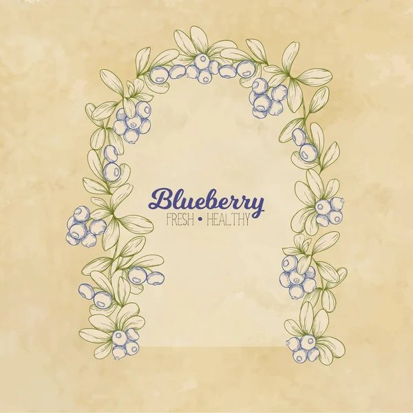 Blaubeeren. Element für Design. — Stockvektor