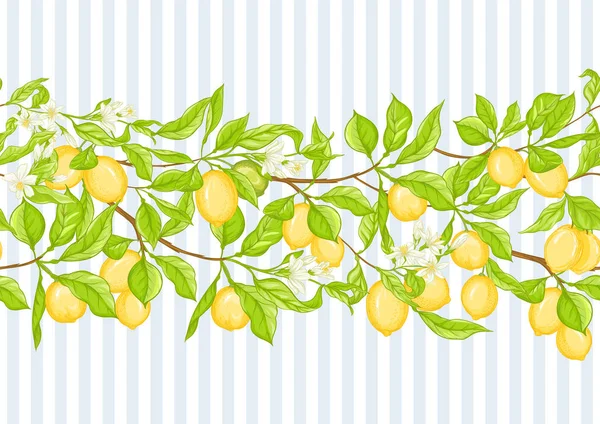 Tapis citron 5 zz — Image vectorielle