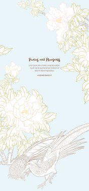 Sülün çiçekli şakayık ağacı dalı