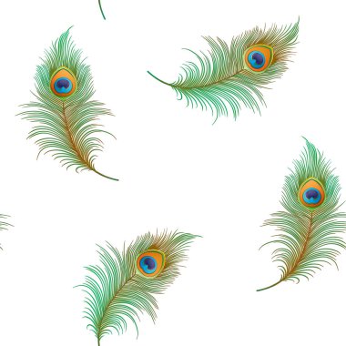 Tavuskuşu tüyleri Kusursuz desen, arkaplan