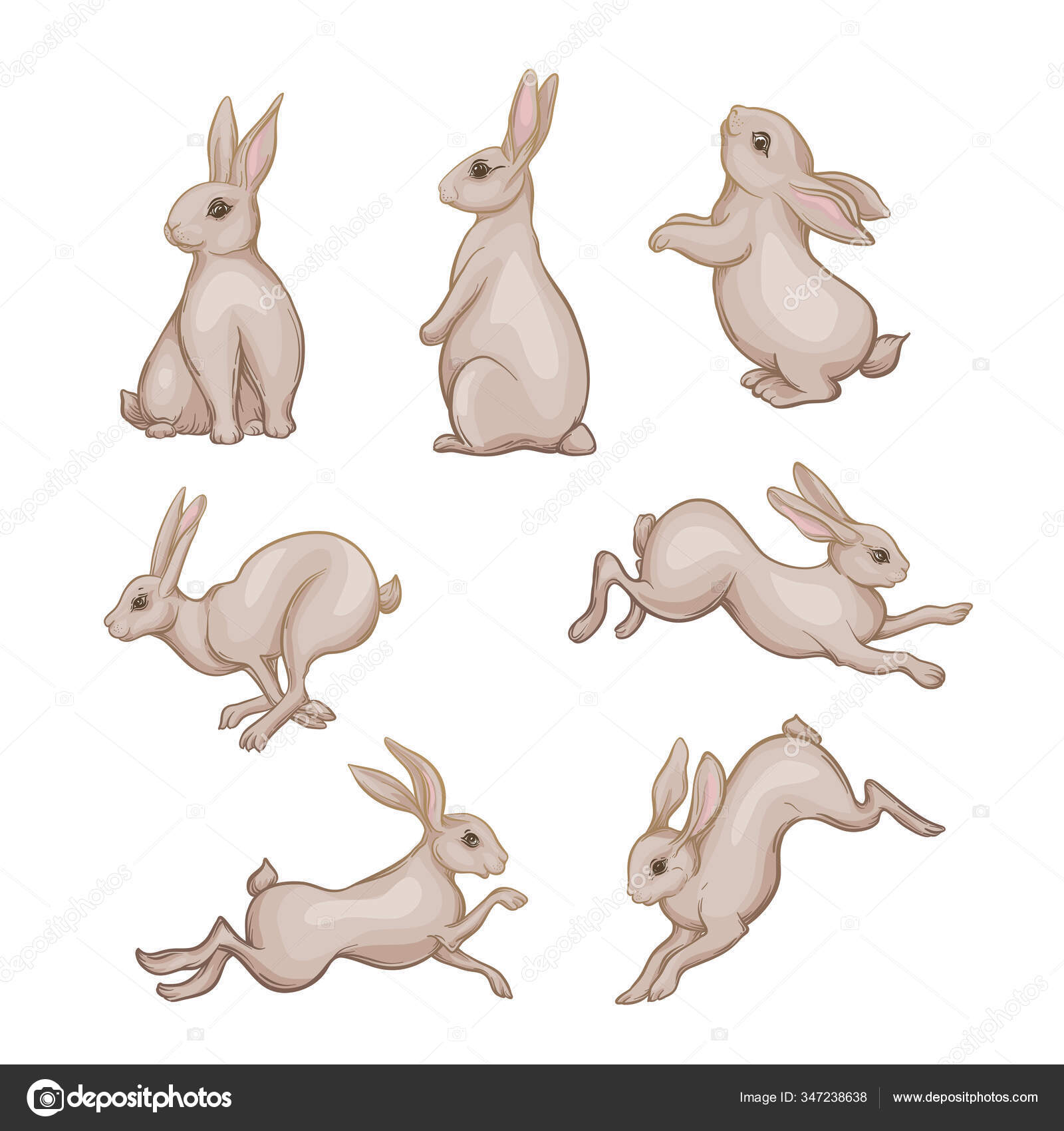 Download Set Of Seven Cute Hares Rabbits Vector Image By C Elenabesedina Vector Stock 347238638