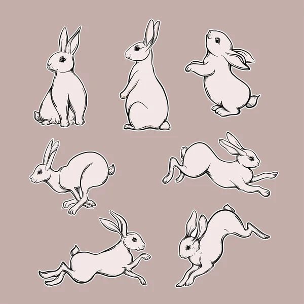 Set of seven cute hares, rabbits. — Stock Vector