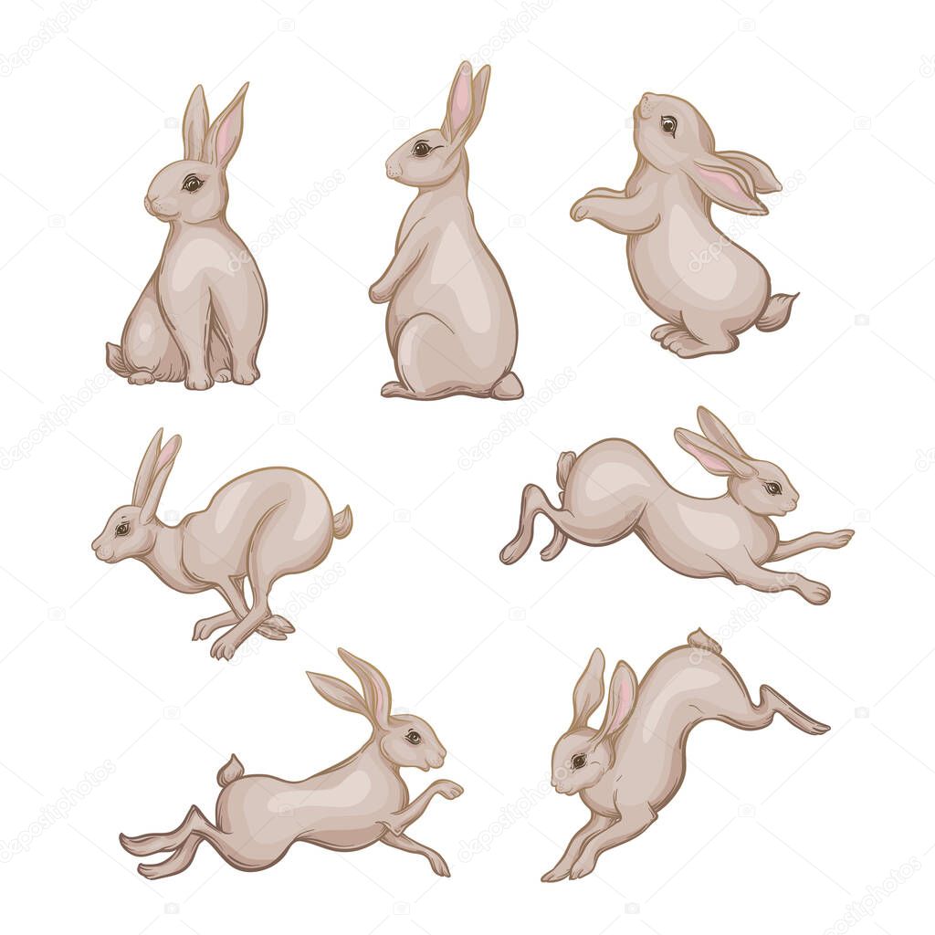 Set of seven cute hares, rabbits.