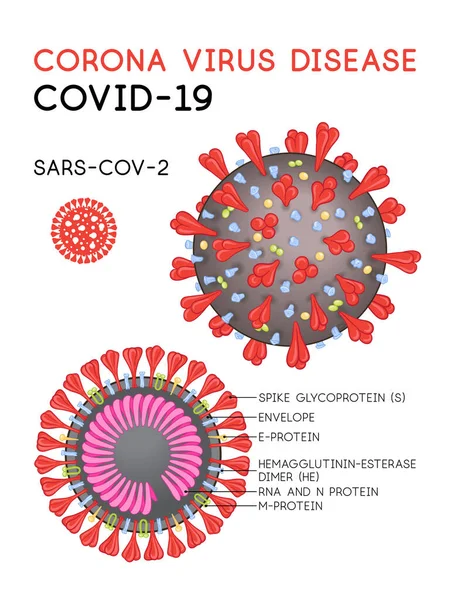 Choroba Corona wirus covid-19, sars-cov-2 model komórek — Wektor stockowy