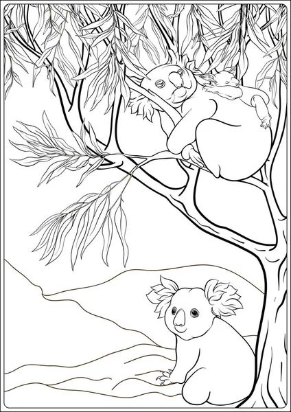 Koala y eucalipto. Página para colorear para el libro para colorear para adultos — Vector de stock