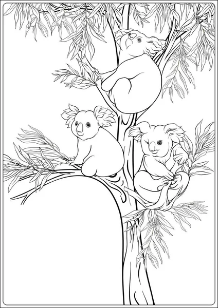 Koala ed eucalipto. Disegno da colorare per il libro da colorare per adulti — Vettoriale Stock