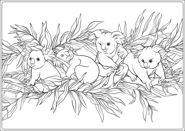 Koala and eucalyptus. Coloring page for the adult coloring book — Stock Vector