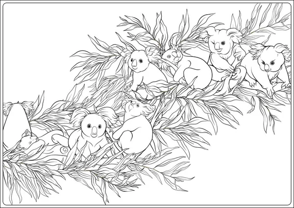 Koala en eucalyptus. Kleurplaat voor het volwassen kleurboek — Stockvector