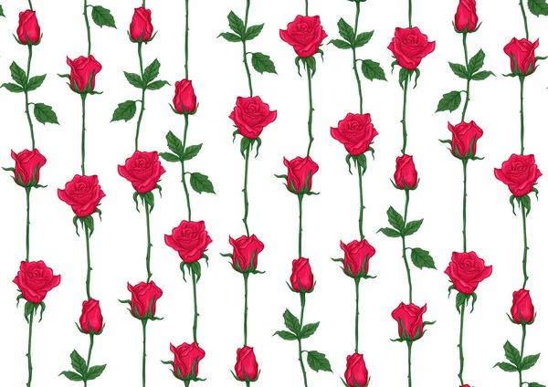 Red roses seamless pattern, background. — Stock Vector