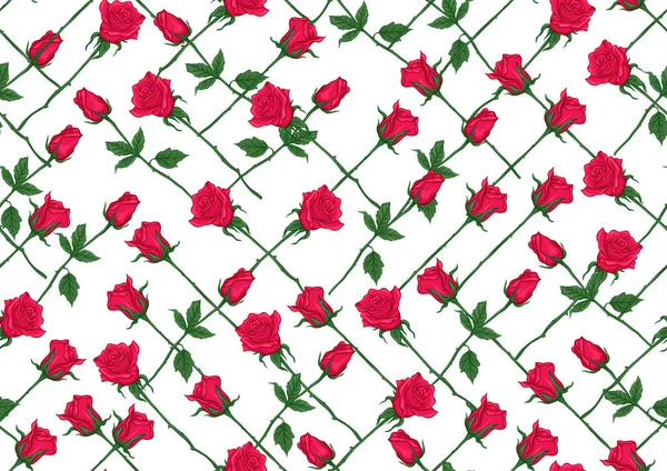 Red roses seamless pattern, background. — Stock Vector