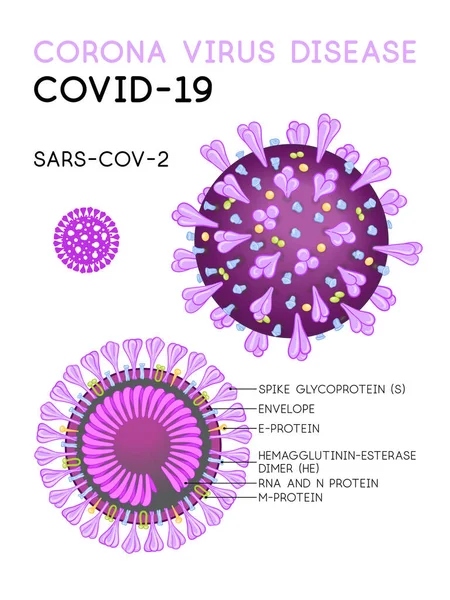 Choroba Corona wirus covid-19, sars-cov-2 model komórek — Wektor stockowy