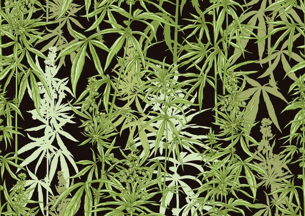 Hanf, Cannabis nahtlose Muster, Hintergrund. — Stockvektor