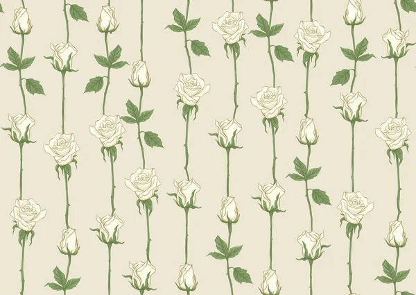 Białe róże bezszwowy wzór, tło. — Wektor stockowy