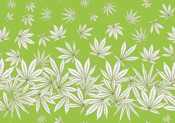 Cannabis leaves seamless pattern, background. — Stock Vector
