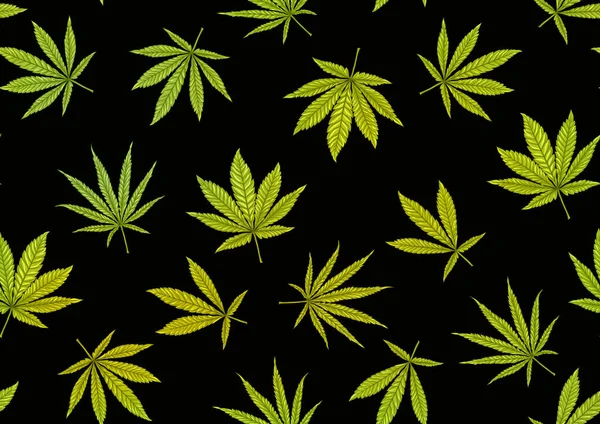 Cannabis hojas patrón sin costura, fondo. — Vector de stock