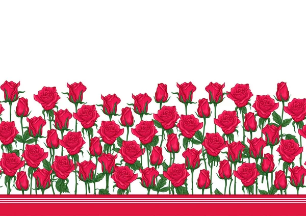红玫瑰无缝图案，背景. — 图库矢量图片