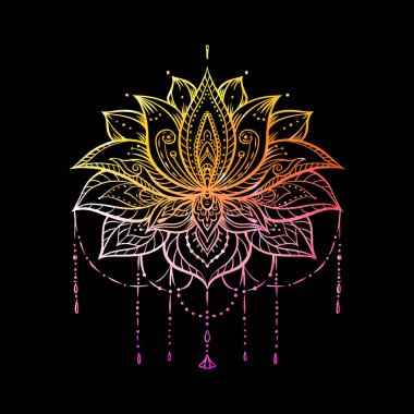 Lotus kol 1 zz