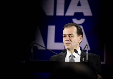 Klaus Iohannis - ikinci cumhurbaşkanlığı için yarışıyor- Rumen siyaseti