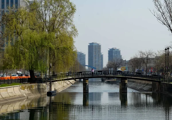 Бухарест Румунія Березня 2020 Вид Мостом Річку Дамбовіта Бухаресті — стокове фото