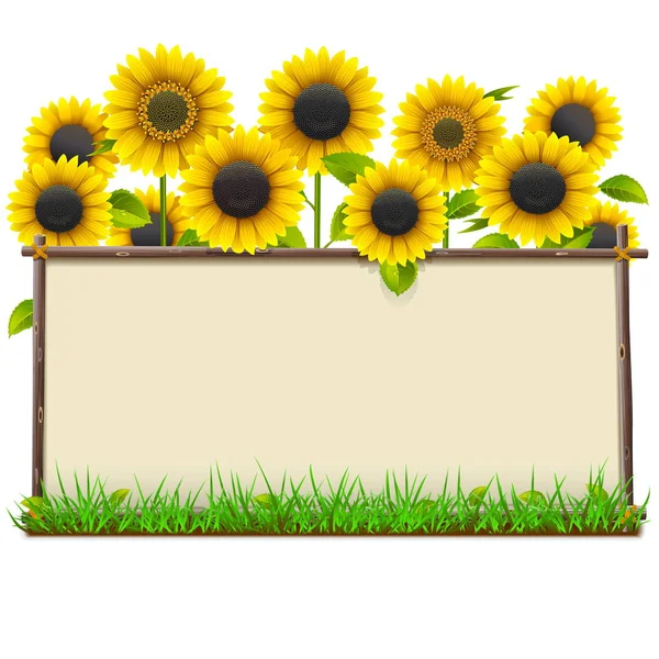 Vector Wooden Frame with Sunflowers — Stock Vector