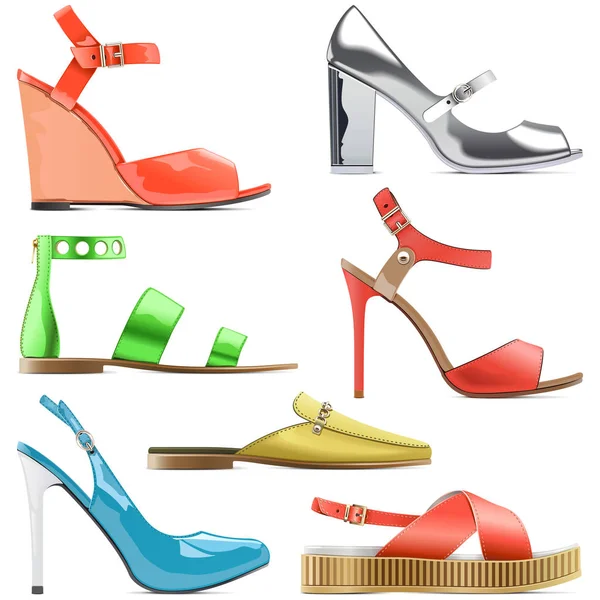 Vetor Feminino Sapatos de Verão —  Vetores de Stock