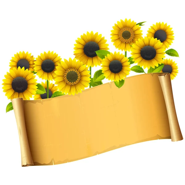 Vector Paper Placard with Sunflowers — Stock Vector