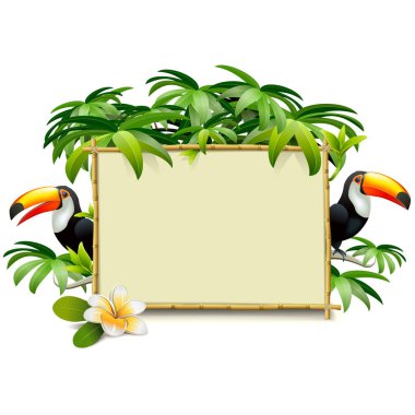 Toucan 'lı Vektör Tropikleri