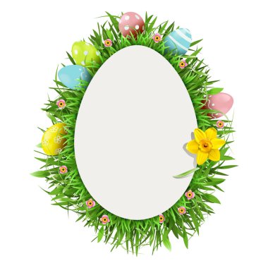 Beyaz arkaplanda Narcissus izole edilmiş Paskalya tebrik kartı