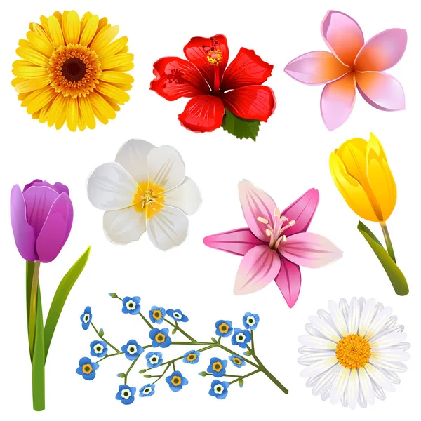 Vector Flower Icons Set Isolated White Background — Stock Vector