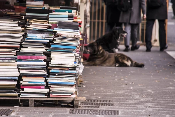 Продажа книг на улице — стоковое фото
