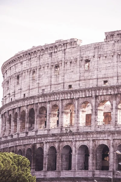 Veduta del colosseo di Roma — Foto Stock