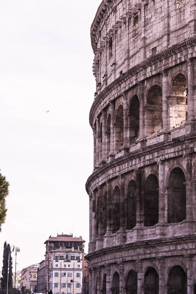 ローマのコロッセオのビュー — ストック写真