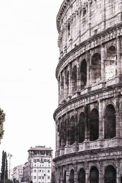 Uitzicht op het colosseum in rome — Stockfoto