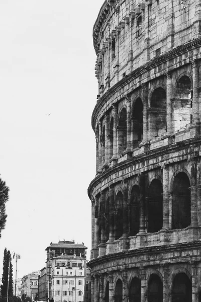 Uitzicht op het colosseum in rome — Stockfoto