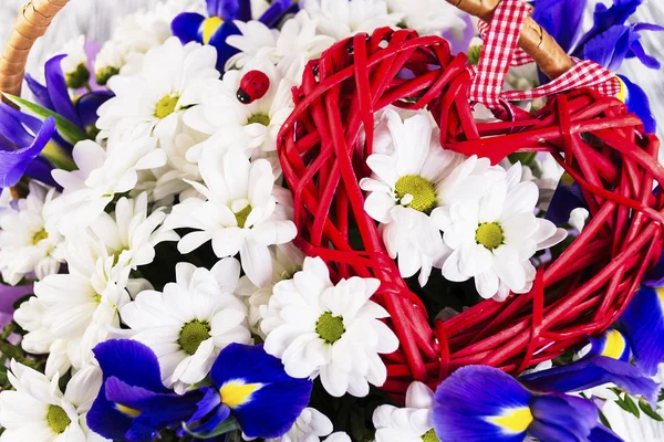 Schöner Strauß Weißer Gänseblümchen Und Blauer Hähne Einem Holzkorb — Stockfoto