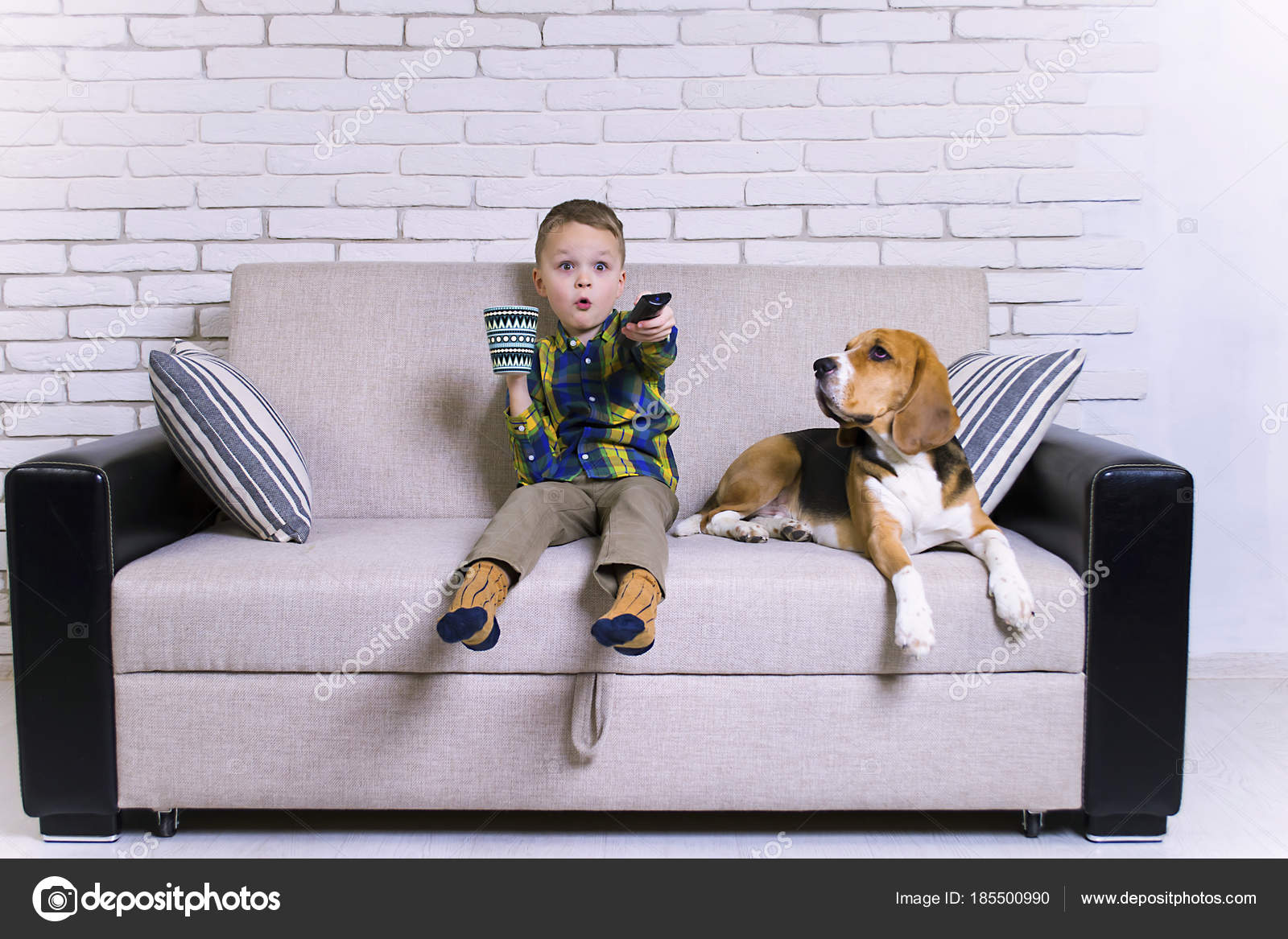 Lustige Junge Mit Fernbedienung Fernsehen Mit Hund Beagle Auf Der