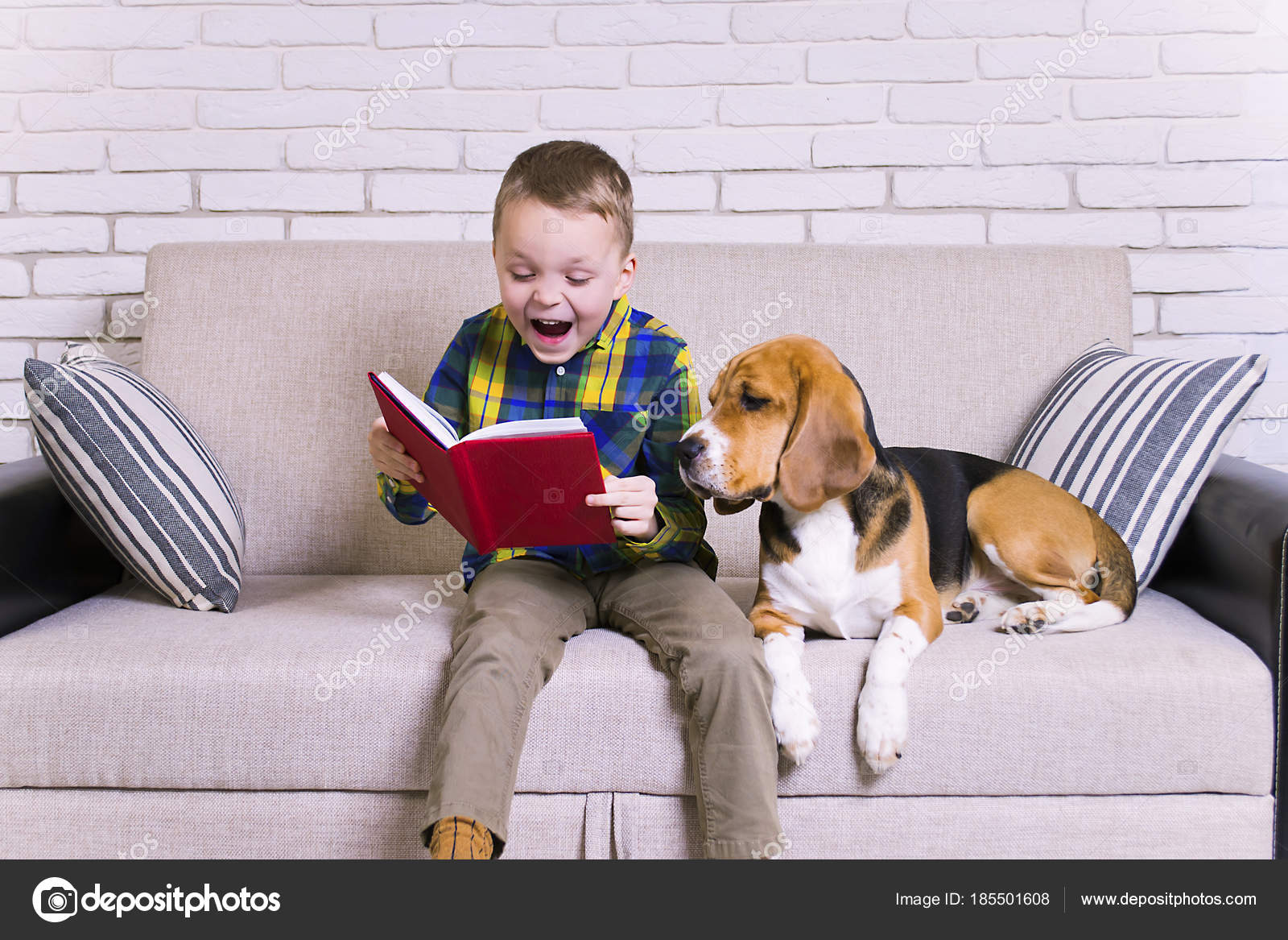 Funny Boy Reading Book Beagle Dog Couch Stock Photo by ©mikitiger 185501608