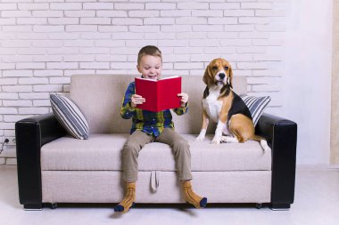 komik çocuk ile a beagle köpek kanepede kitap okuma