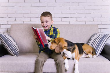 komik çocuk ile a beagle köpek kanepede kitap okuma