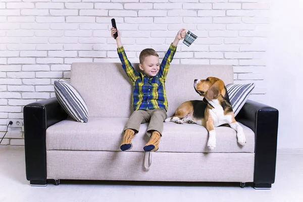 Divertido Chico Con Mando Distancia Viendo Televisión Con Perro Beagle — Foto de Stock