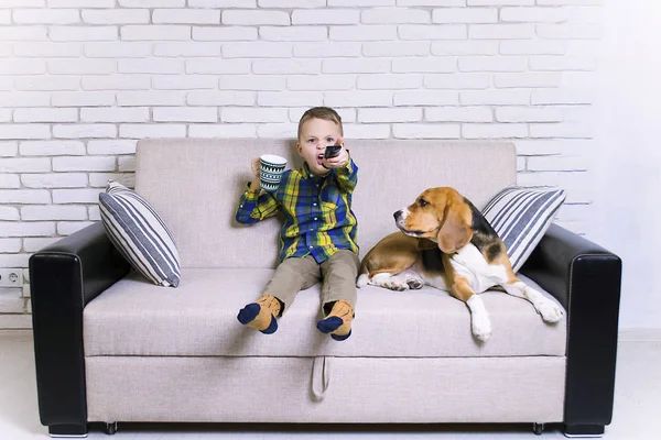 funny boy with remote control watching TV with dog Beagle on the couch