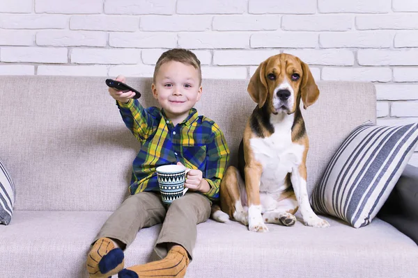 funny boy with remote control watching TV with dog Beagle on the couch