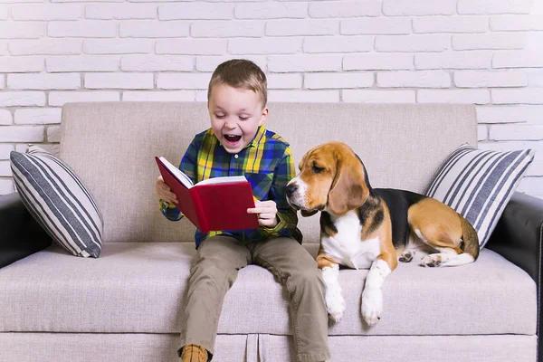 funny boy reading a book with a beagle dog on the couch