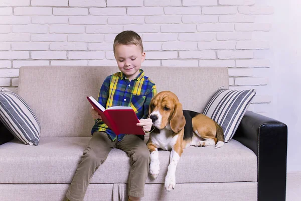 funny boy reading a book with a beagle dog on the couch