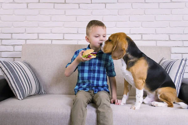 소파에는 햄버거를 소년과 강아지 — 스톡 사진