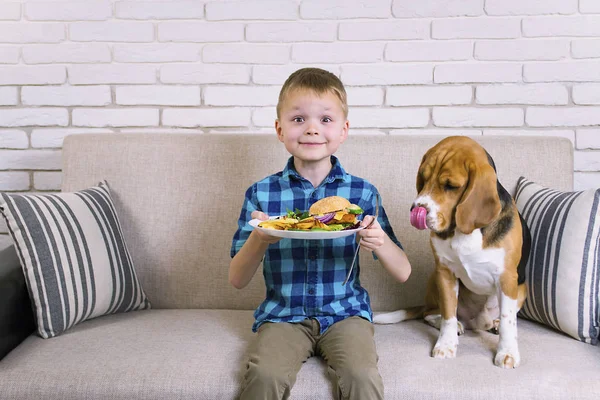 Engraçado Menino Cão Beagle Comer Batatas Fritas Hambúrguer Sofá Sala — Fotografia de Stock