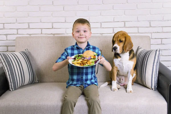 funny boy and dog beagle eating fried potatoes and a hamburger on the sofa in the room