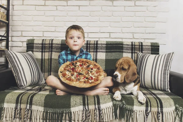 소파에 피자를 소년과 강아지 — 스톡 사진