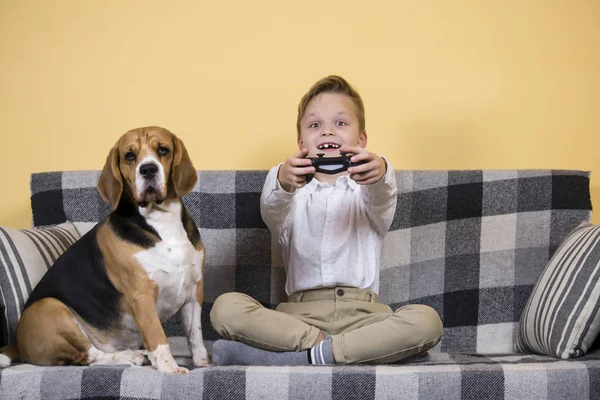 Engraçado Menino Detém Joystick Sua Mão Para Jogo Computador Cão — Fotografia de Stock