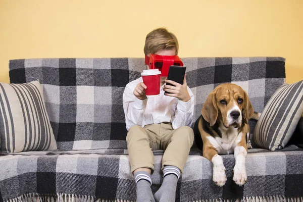 Menino Óculos Realidade Virtual Para Telefone Cão Beagle Engraçado Sofá — Fotografia de Stock